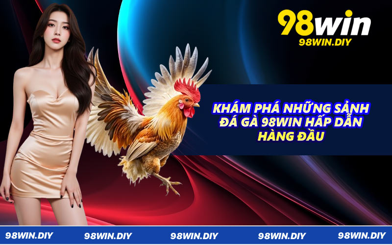 Khám phá những sảnh đá gà 98WIN hấp dẫn hàng đầu